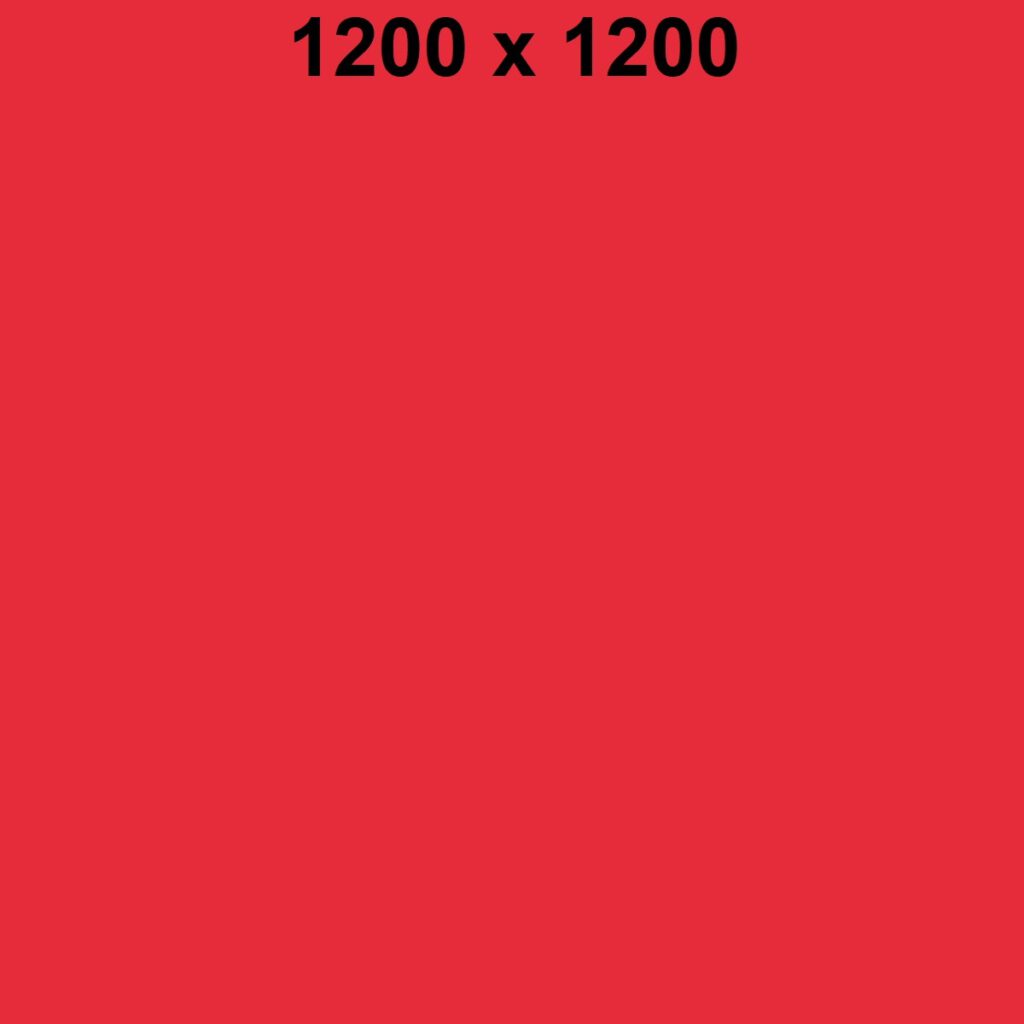 bild1200x1200