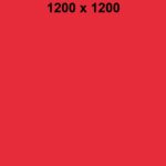 bild1200x1200