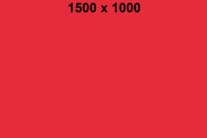 bild1500x1000