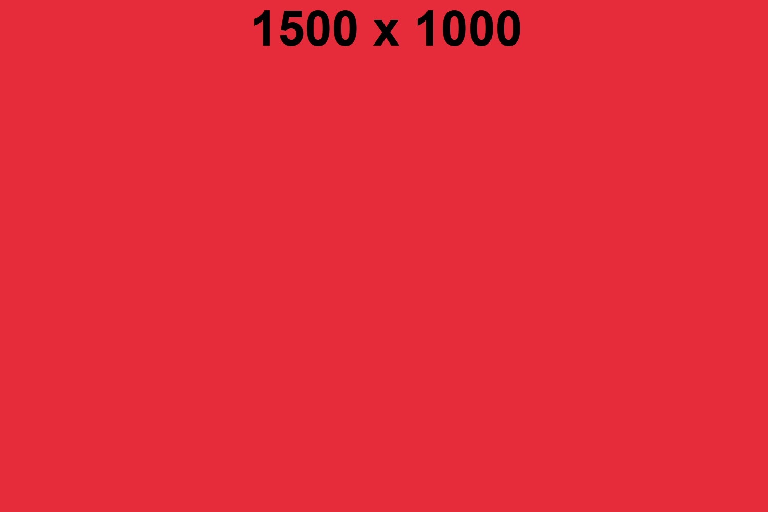 bild1500x1000